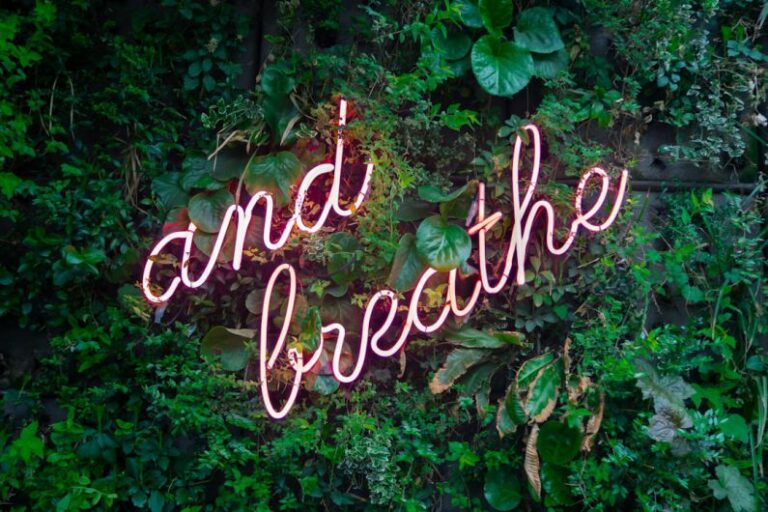 Self-Care - and breathe neon sign on tre