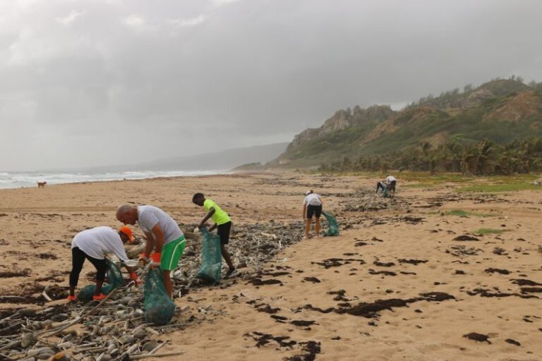 Volunteering - people picking garbage near beach