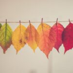 Season - assorted-color lear hanging decor